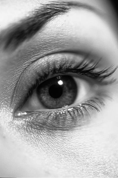 Close-up head shot of beautiful young woman.