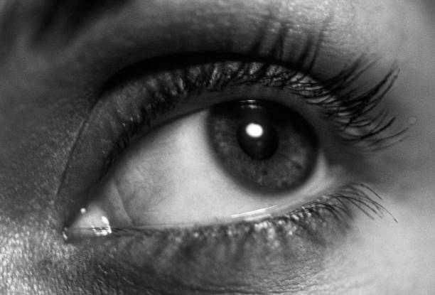 Closeup of a woman's eye stock photo