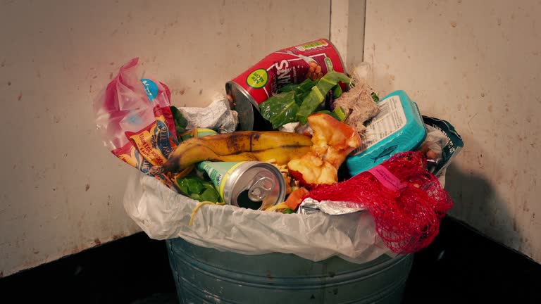 Flies Around Messy Trash Can