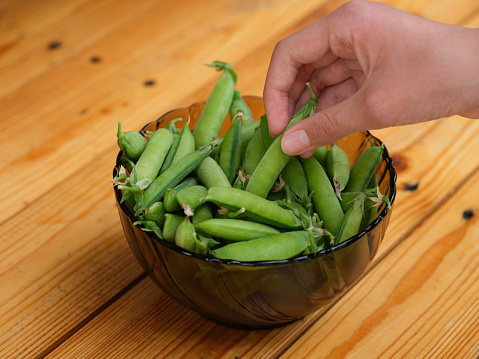 A person taking a pea pod out of a bowl of pea pods that is standing on a table. Close up.