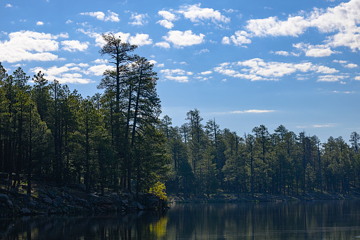 Landscape photograph of a Woods Canyon Lake in Arizona.