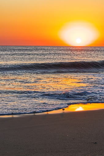 The morning sun dazzles down in orange and yellow - Outer banks, NC, USA