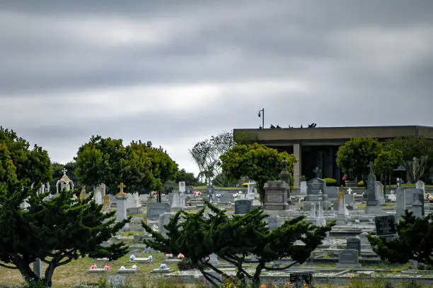 Photo of Cemetery by the Sea