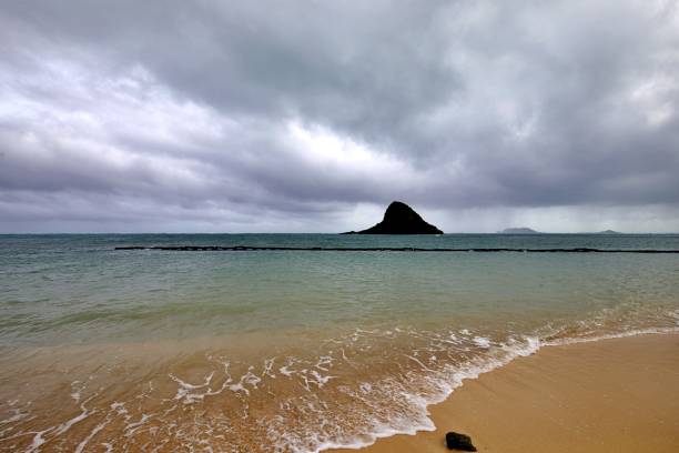 istock Morning at the beach 1612500729