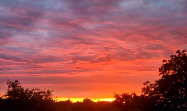 istock Pink red sky at dusk 1612520993