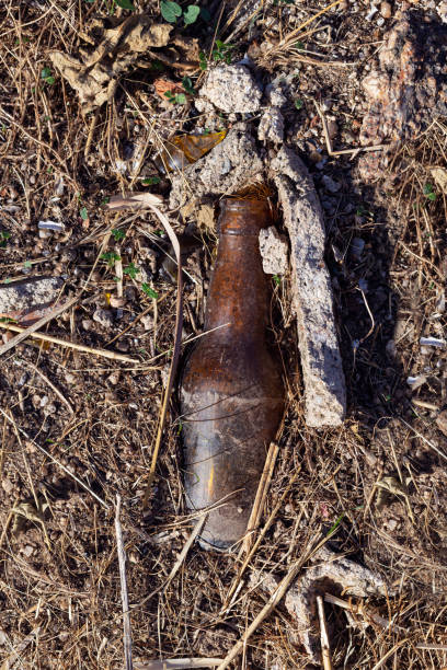 istock An old beer bottle thrown in field. Vertical. 1612530011