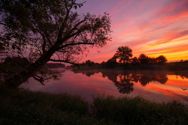 istock Summer sunrise over a wild river 1612539816