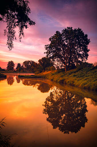 Summer sunrise over a wild river in Poland. Morning landscapes with nature in the background. Warm colors and the light of the summer sun