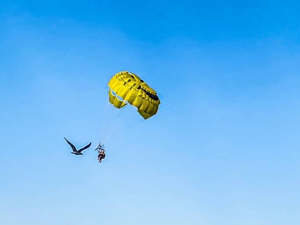 istock sea ​​fun parachuting over the sea 1612561082