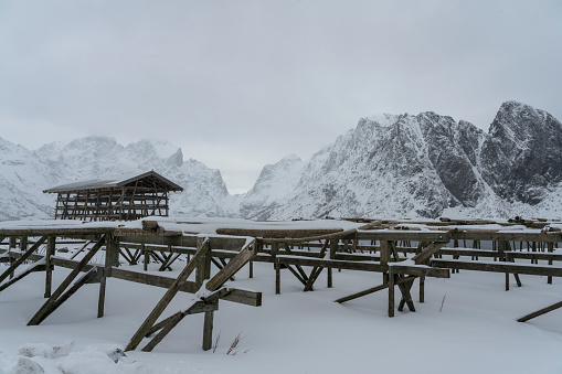 Traditional wooden construction for drying stockfishes in winter, the historic village of Sakrisoy, Lofoten.