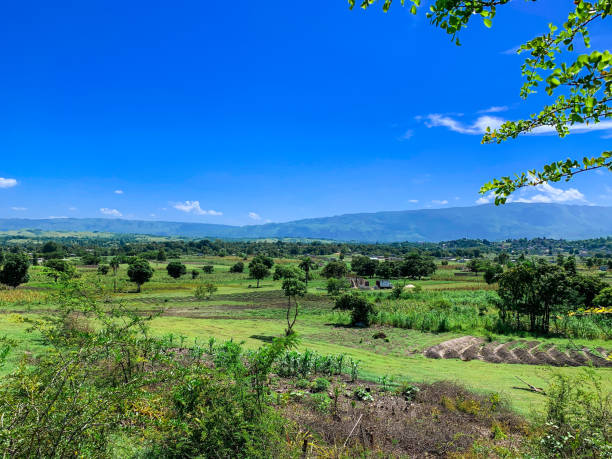 Some shots of the beautiful Haitian landscape. I dragged my camera in the plain of Mirebalais to immortalize a few moments