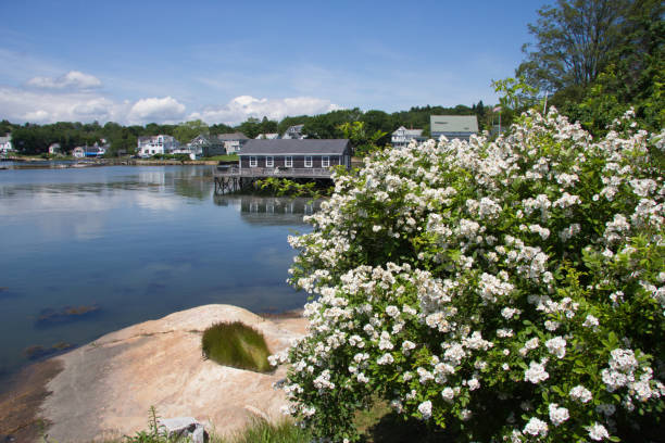 boothbay harbor maine in una giornata ancora estiva - pemaquid maine foto e immagini stock