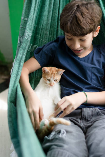 istock Boy inside a hammock with his pet cat petting him. Love for animals. 1612649769