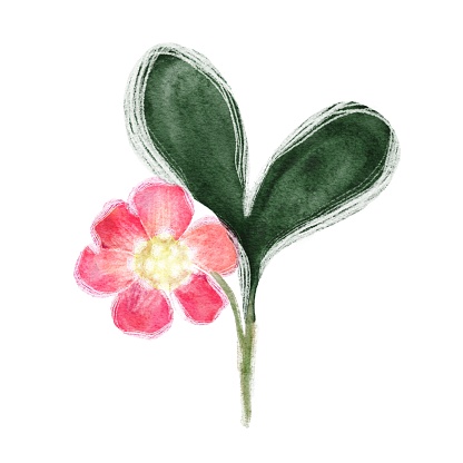 A small cute pink flower with green leaves in the shape of a heart drawn in digital watercolor on a white background