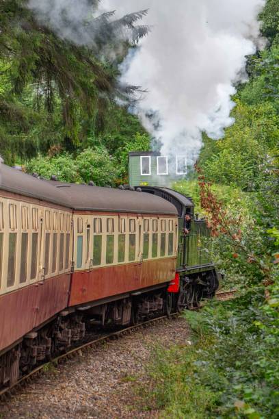 istock Steam train at Bodmin & Wenford Railway 1612715512