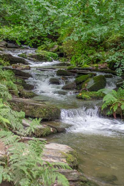 istock Stream and waterfalls at St Nectan's Glen, Cornwall, UK 1612717055