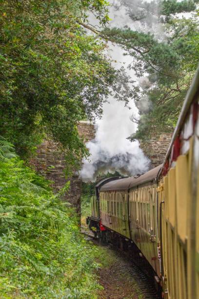 istock Steam train on the Bodmin heritage railway 1612718608
