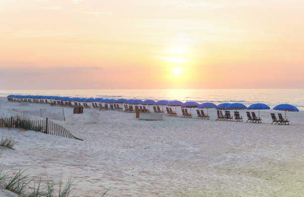istock Beach Sunrise with Umbrellas-Hilton Head, South Carolina 1612754663