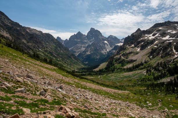 istock Creek Cuts Through Green Valley Toward Cascade Canyon 1612756279