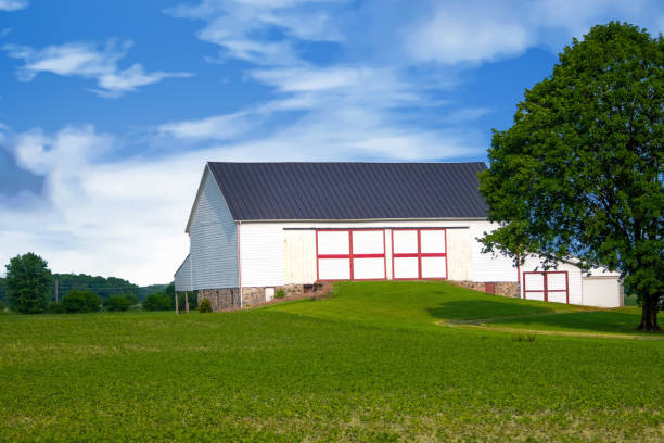 istock Old Barn with earth ramp- Hamilton County, Indiana 1612757344