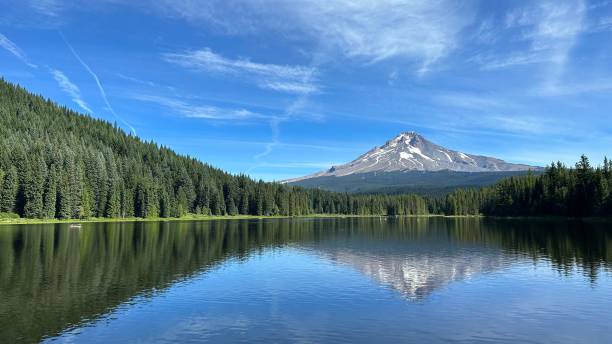 istock Mount Hood from Trillium Lake 1612760486