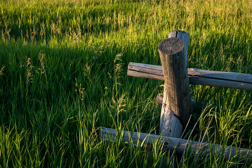 End of Fence In Tall Grass Field in Grand Teton National Park