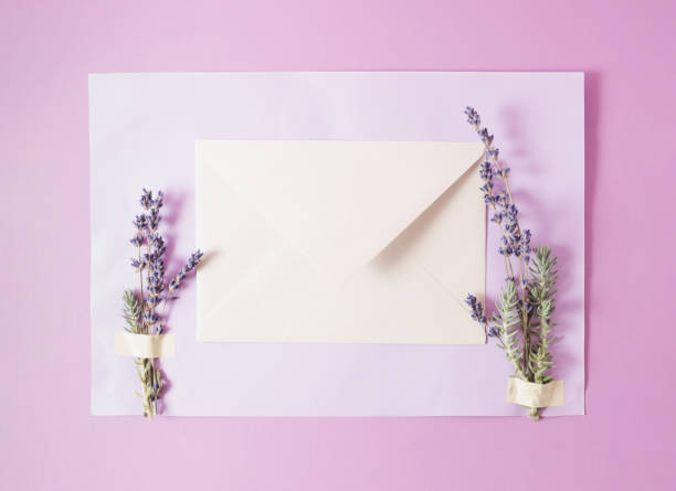istock Creative arrangement with envelope and dry lavender. Minimal border concept. Copy space 1612766884