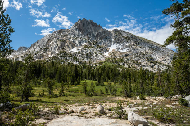 istock Forest and Meadows Below Ragged Peak in Yosemite 1612772074