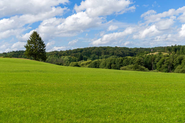 istock Landscape near Nettersheim in the Eifel 1612789892