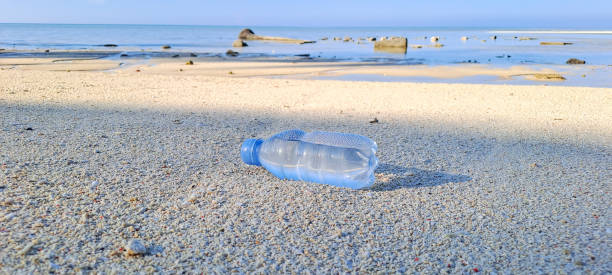 istock Plastic drink bottle washed up at beach 1612861241