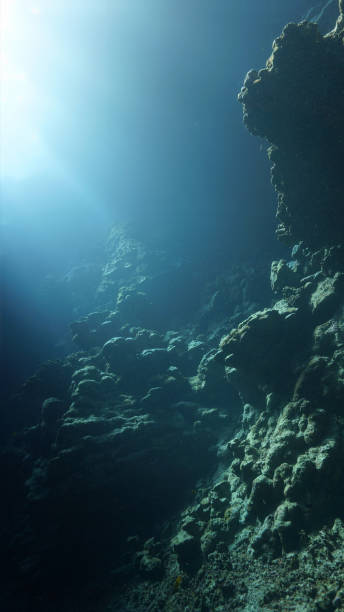 istock Underwater photo of rays of sunlight inside a cave 1612907147