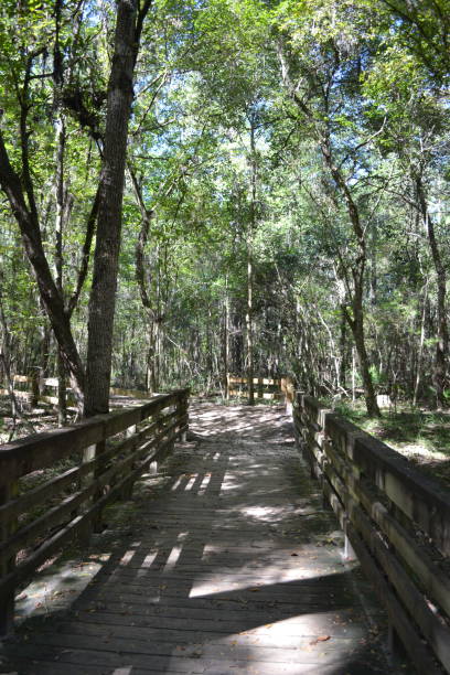 istock hiking place in the state park 1612979533