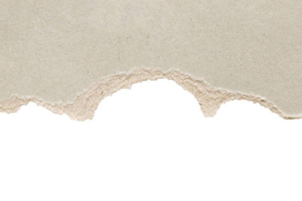 istock Gray ripped paper torn edges strips isolated on white background 1613008715