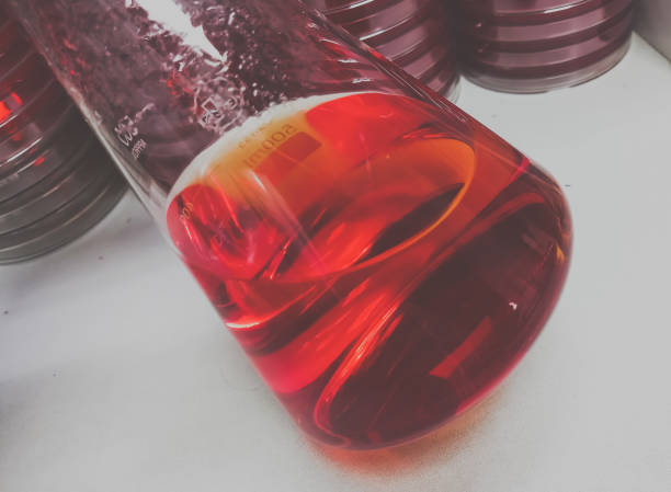 istock Biochemical test, microbiological liquid media. Blood agar plate, Triple sugar iron agar(TSI). 1613008995