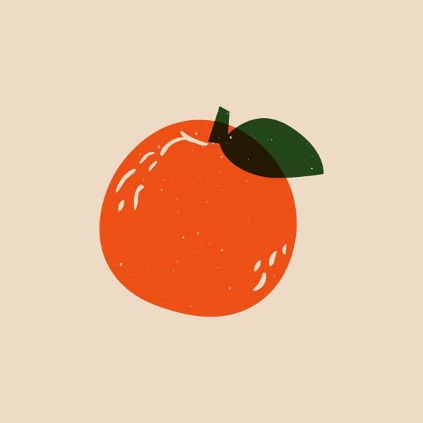 istock Juicy fruit sketch. Abstract natural peach apricot nectarine sign linocut print effect. Vector illustration 1613037672