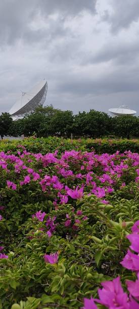 istock Two dishes satellite in Thailand 1613078648