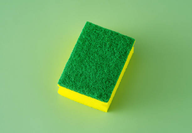 Sponge on green background stock photo