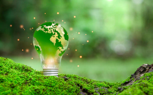 istock A green world map sits on a light bulb representing green energy. renewable energy concept, clean energy, green energy, environmental protection 1613107687