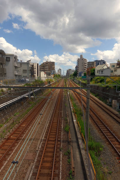 istock Landscape with railroad tracks 1613192163
