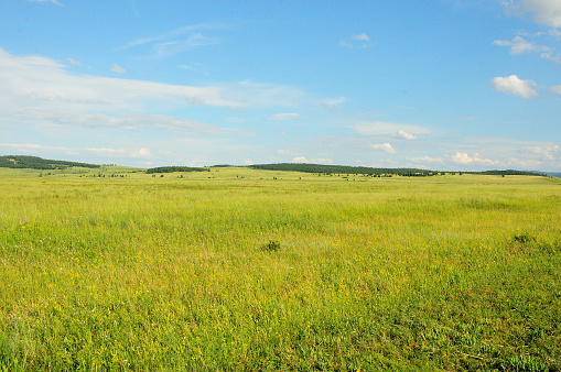 Hilly boundless steppe overgrown with young grass under a cloudy summer sky. Khakassia, Siberia, Russia.