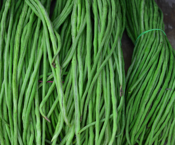 istock Fresh green string beans at rural market 1613236310