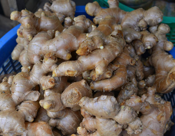 istock Fresh organic ginger in the market 1613237359