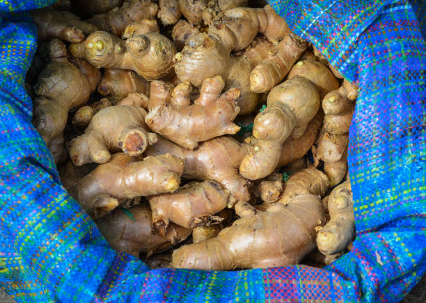 Fresh organic ginger at the market in Coron Island, Philippines.