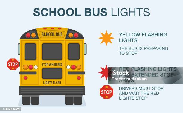 Bus Has Stop Driving Rules And Tips School Bus Red And Yellow Lights Meaning Stop ...