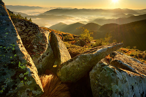 istock Bright morning landscape in mountains 161331242