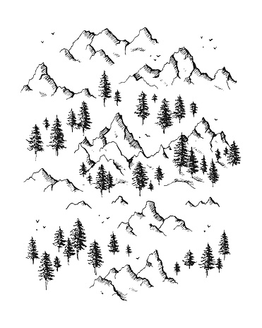 Set of hand drawn mountains and pine trees with birds. Vector illustration isolated on white background. Engraving style.