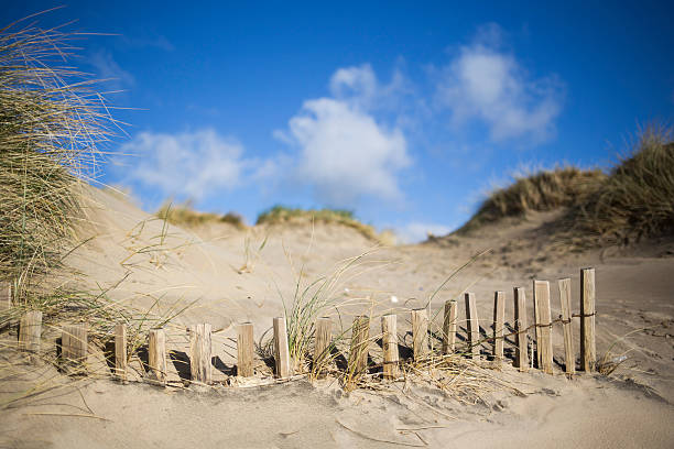 Conservazione parete sulle dune di sabbia - foto stock