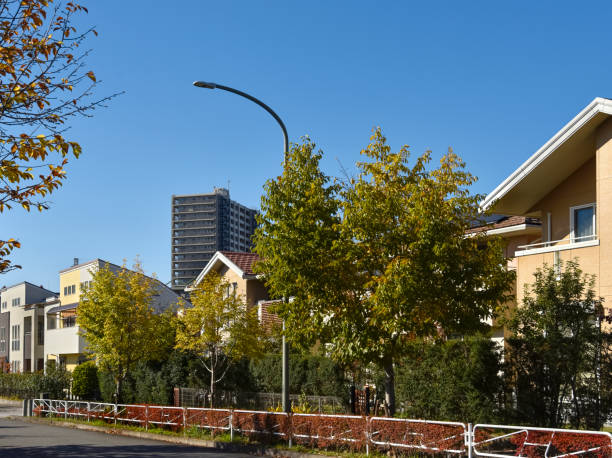 istock Residential area and blue sky. 1613431129