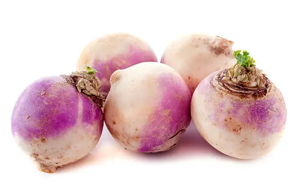 freshly harvested spring turnips (Brassica rapa) on a white background