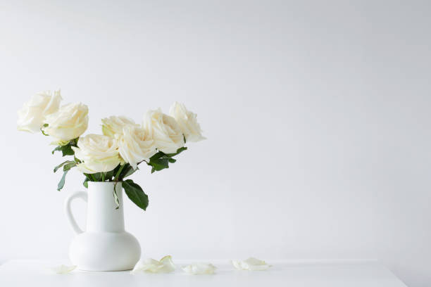 istock bouquet of white roses in jug on white background 1613463380